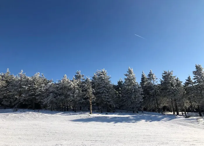 Klinovec Meadows By Interhome Apartment *